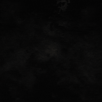 Brewdog Advent Calendar - Only £1.78 a Ticket! 🍻🎄