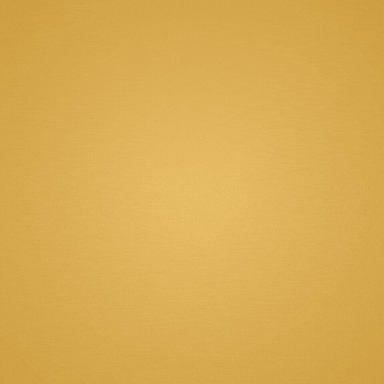 APPLE AIRPODS PRO 3 ✨🎧