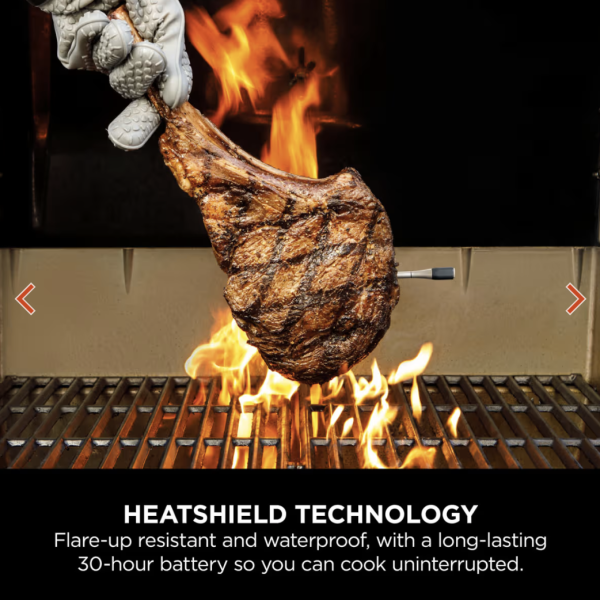 Ninja ProChef Wireless Thermometer